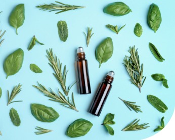 herbs and leaves laid out around two dark glass dropper vials